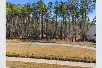 0 Timber Trail Lane #82, Prosperity, SC 29127 - Photo 9