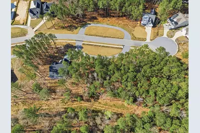 0 Timber Trail Lane #82, Prosperity, SC 29127 - Photo 7