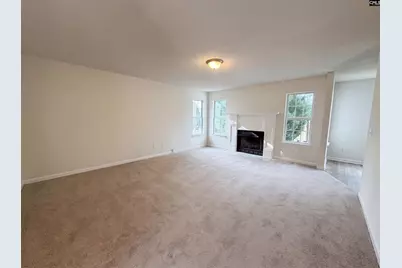217 Branchview Drive, Columbia, SC 29229 - Photo 3