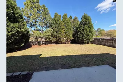 217 Branchview Drive, Columbia, SC 29229 - Photo 21