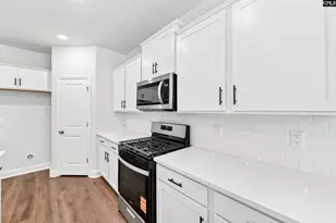 118 Monroe Preserve Ln, Chapin, SC 29036 - Photo 13