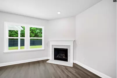 118 Monroe Preserve Lane, Chapin, SC 29036 - Photo 27