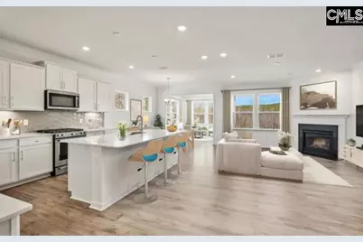 118 Monroe Preserve Lane, Chapin, SC 29036 - Photo 5