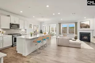 118 Monroe Preserve Ln, Chapin, SC 29036 - Photo 5