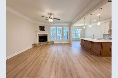 360 Autumn Pond Drive, Blythewood, SC 29016 - Photo 3