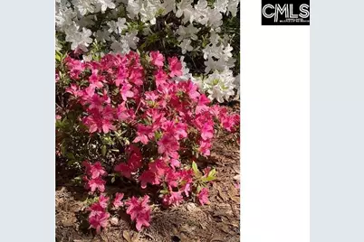 48 Veranda Lane, Blythewood, SC 29016 - Photo 41