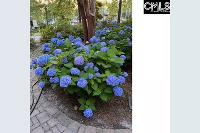 48 Veranda Lane, Blythewood, SC 29016 - Photo 37