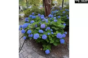 48 Veranda Ln, Blythewood, SC 29016 - Photo 37