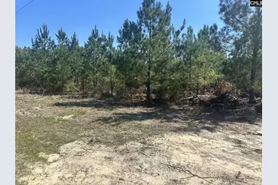 0 Catalina Boulevard, Sandy Run, SC 29160 - Photo 3