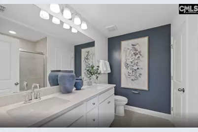 342 Meadow Ridge Road, Chapin, SC 29036 - Photo 19