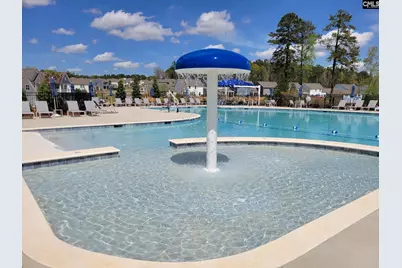 2227 Lofton Road, Blythewood, SC 29016 - Photo 9