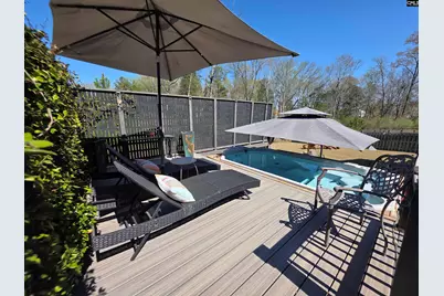 125 Chapin Creek Court, Chapin, SC 29036 - Photo 43