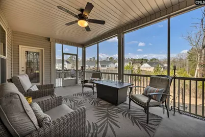 125 Chapin Creek Court, Chapin, SC 29036 - Photo 3