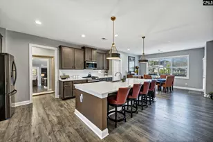 125 Chapin Crk Ct, Chapin, SC 29036 - Photo 9