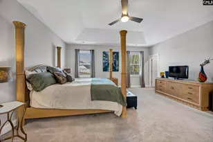 125 Chapin Crk Ct, Chapin, SC 29036 - Photo 21