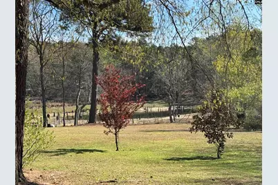 1012 Peach Festival Road, Gilbert, SC 29054 - Photo 41