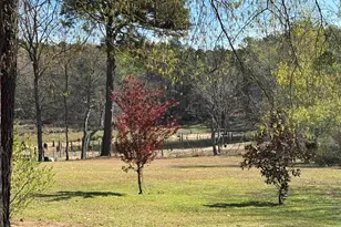 1012 Peach Festival Rd, Gilbert, SC 29054 - Photo 41