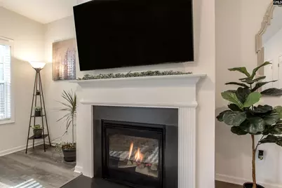 332 Wahoo Circle, Irmo, SC 29063 - Photo 7