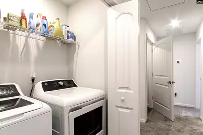 332 Wahoo Circle, Irmo, SC 29063 - Photo 21