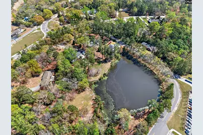 106 Lorick Circle, Lexington, SC 29072 - Photo 53