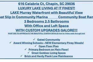 616 Calabria Ct, Chapin, SC 29036 - Photo 3