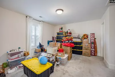 712 Scarlet Oak Road, Blythewood, SC 29016 - Photo 49