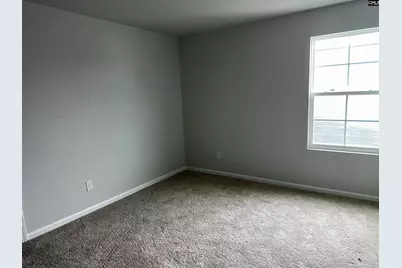 702 Clementine Run, Gilbert, SC 29054 - Photo 17