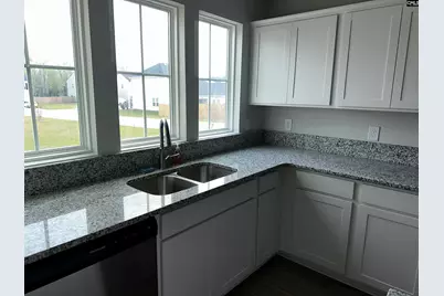 702 Clementine Run, Gilbert, SC 29054 - Photo 49