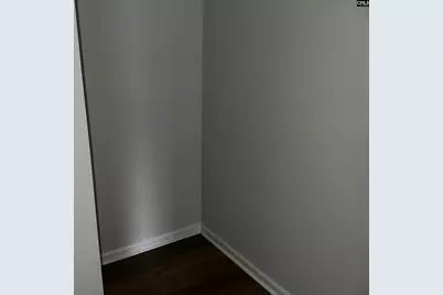 702 Clementine Run, Gilbert, SC 29054 - Photo 19