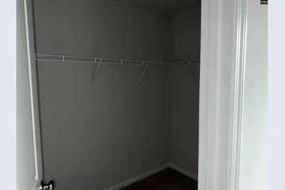 702 Clementine Run, Gilbert, SC 29054 - Photo 9