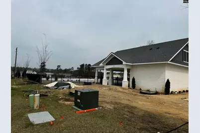 702 Clementine Run, Gilbert, SC 29054 - Photo 65