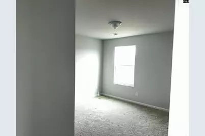 702 Clementine Run, Gilbert, SC 29054 - Photo 15