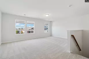 702 Clementine Run, Gilbert, SC 29054 - Photo 21