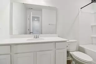 702 Clementine Run, Gilbert, SC 29054 - Photo 5