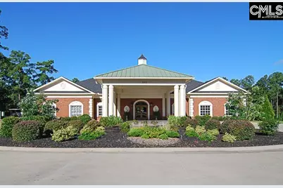 329 Oxenbridge Way, Chapin, SC 29036 - Photo 21