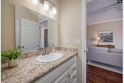 28 Tall Palmetto Lane, Lexington, SC 29072 - Photo 21