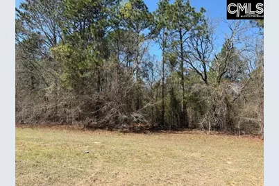 Tbd Marcellus Road, Leesville, SC 29070 - Photo 21
