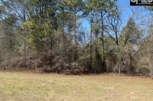 Tbd Marcellus Rd, Leesville, SC 29070 - Photo 21