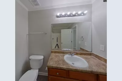 153 Chesterbrook Lane, Lexington, SC 29072 - Photo 9