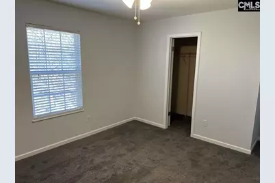 212 Walkbridge Way, Chapin, SC 29036 - Photo 7