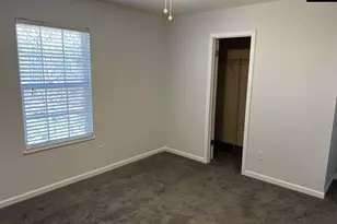 212 Walkbridge Way, Chapin, SC 29036 - Photo 7