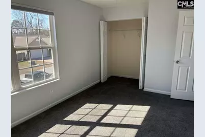 212 Walkbridge Way, Chapin, SC 29036 - Photo 9