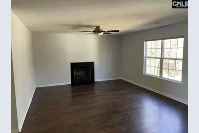 212 Walkbridge Way, Chapin, SC 29036 - Photo 3