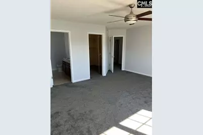 212 Walkbridge Way, Chapin, SC 29036 - Photo 5