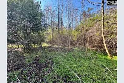 Tbd Blewer Road, Cordova, SC 29039 - Photo 7