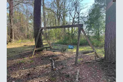 704 Congaree Church Road, Gadsden, SC 29052 - Photo 19