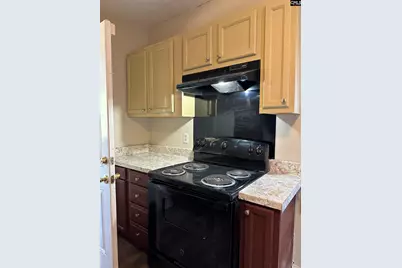 1107 Rumar Street, Columbia, SC 29203 - Photo 11