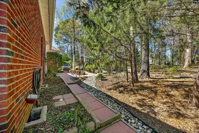 817 Willowood Parkway, Chapin, SC 29036 - Photo 45