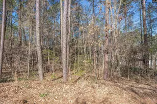 Tbd Sc Hwy 215, Jenkinsville, SC 29065 - Photo 13