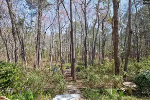 502 Eagle Pointe Dr, Columbia, SC 29229 - Photo 67